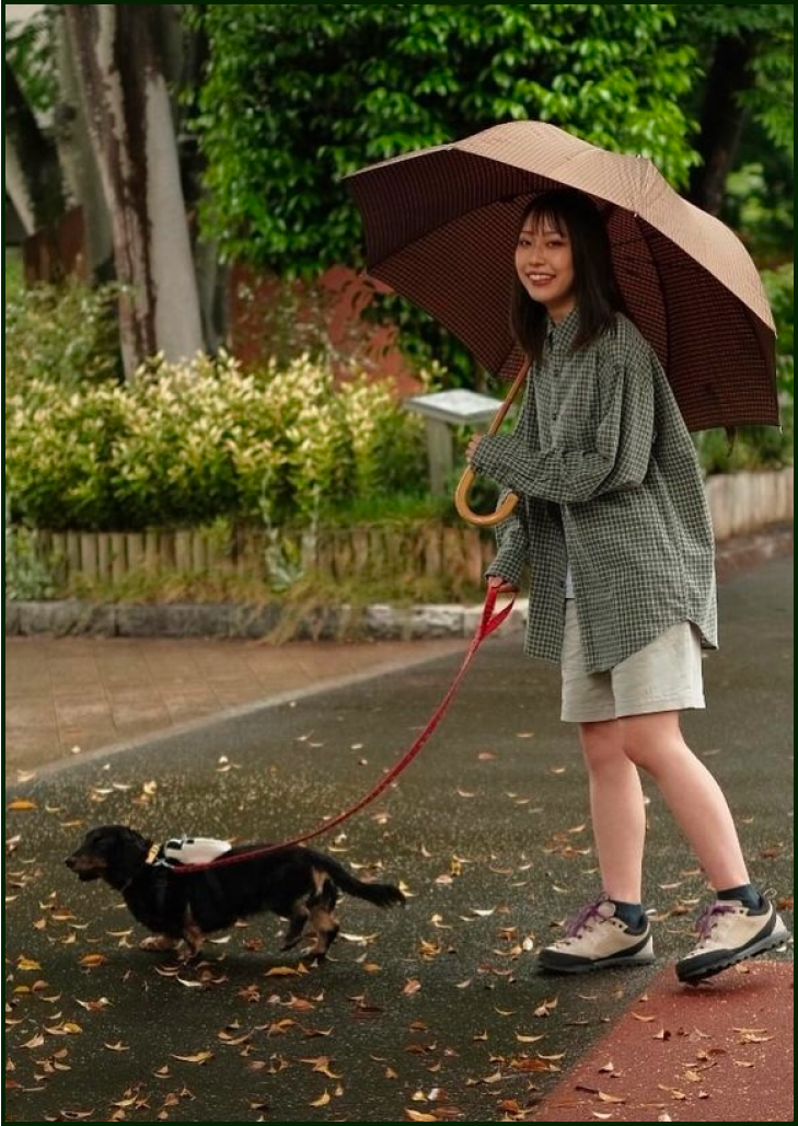 きっちょむと雨